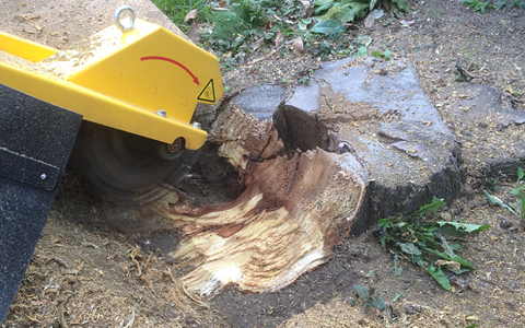 ENLÈVEMENT DE SOUCHE D’ARBRE
