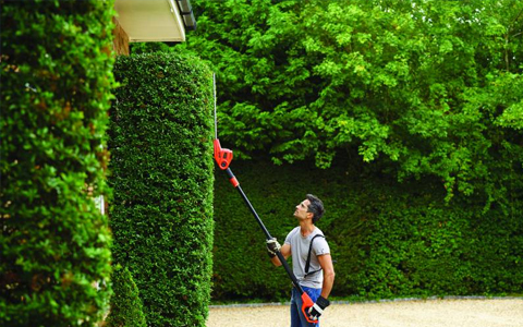 INTERVENTION POUR TAILLE DE HAIE
