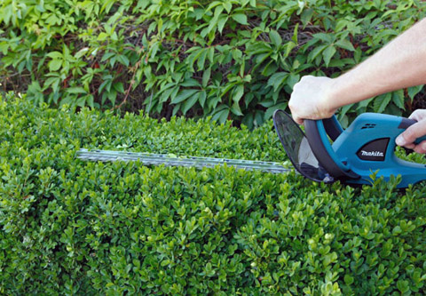 LES OUTILLAGES POUR COUPER VOTRE HAIE